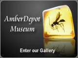 Amber Depot Museum