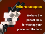 Amber Depot offers a wide selection of high quality microscopes for viewing your precious fossil amber collections.
