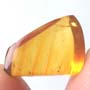 Are Two Eggs In Dominican Amber