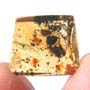 Rare Two Isopods In Dominican Amber