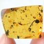 Rare Three Eggs In Dominican Amber