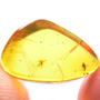 Rare Thirteen Eggs In Dominican Amber