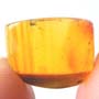 Rare Twenty Six Eggs And Fungus Gnat In Dominican Amber