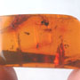 Rare Four Eggs In Dominican Amber
