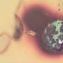 Rare Four Eggs In Dominican Amber