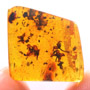 Rare Six Well Preserved Flowers In Dominican Amber