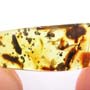 Rare Flower Stamen With Pollen Coming Out In Dominican Amber