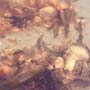 Rare Fungus In Dominican Amber