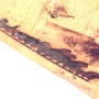 Rare Fungus Gnat, Nice Dicotelydon And True Midge In Dominican Amber