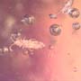 Rare Fungus Gnat With Twenty Eggs, Spider And Four Elongate Springtail In Dominican Amber