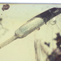 Rare Huge Unusual Flower Bud In Dominican Amber