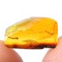 Rare Inchworm In Dominican Amber
