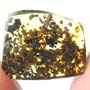 Rare Two Isopods In Dominican Amber