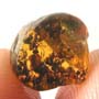 Rare Ant Swarm In Dominican Amber