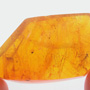 Rare Assassin Bug In Dominican Amber