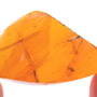 Rare Assassin Bug In Dominican Amber