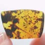 Rare Big Black Worker Ant And Isopod In Dominican Amber