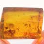 Rare Gnat Bug, Three Fungus Gnats And Scuttle Fly In Dominican Amber