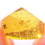 Rare Gnat Bug And Gall Midge In Dominican Amber
