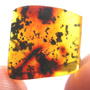 Rare Head Of Bug With Huge Mandibles In Dominican Amber