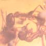 Rare Interaction Of Worker Ant In Dominican Amber