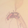 Rare Jumping Plant Lice And Winged Termite In Dominican Amber