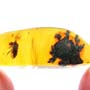 Rare Jumping Plant Lice In Dominican Amber
