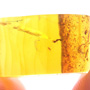 Rare Jumping Plant Lice In Dominican Amber