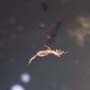Rare Larvae With Eggs, Small Swarm Elongate Springtail And Pomace Fly With Eggs In Dominican Amber