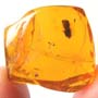 Rare Nice Flower, Flower Stamen And Larva In Dominican Amber