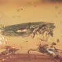 Rare Plant With Thorns And Worker Ant In Dominican Amber.