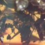 Rare Queen Ant With Something On Its Mouth In Dominican Amber