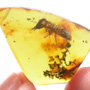 Rare Soldier Termite In Dominican Amber.