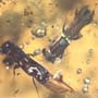 Rare Swarm Of Bark Beetles In Dominican Amber