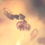 Rare Swarm Of Mite In Dominican Amber