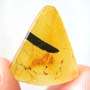 Rare Web, Mite And Leaf In Dominican Amber