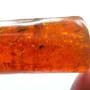 Rare Weevil In Dominican Amber
