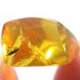 Rare Weevil In Dominican Amber