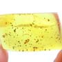 Rare Worker Ant And Moth Fly With Six Eggs In Dominican Amber