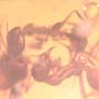 Rare Interaction Of Worker Ant In Dominican Amber