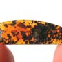 Rare Isopod In Dominican Amber