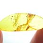Rare Isopod In Dominican Amber