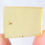 Rare Jumping Plant Lice In Dominican Amber