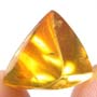 Rare Jumping Plant Lice In Dominican Amber