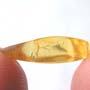 Rare Jumping Plant Lice In Dominican Amber